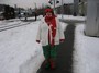 The Elf Lady
